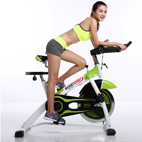 Xe đạp tập thể thao Đại Việt DV-6413